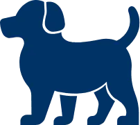 Dog facilities