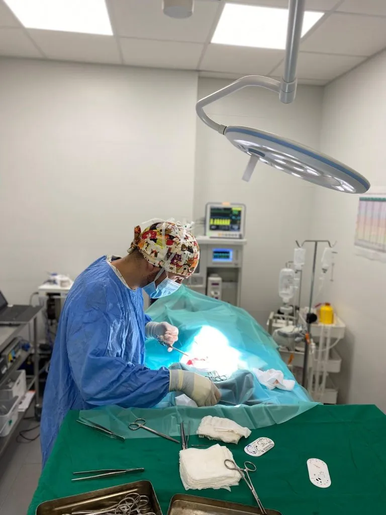 Veterinary Surgery in Somo