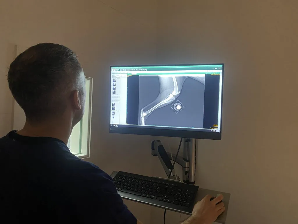 Veterinary Traumatology in Somo