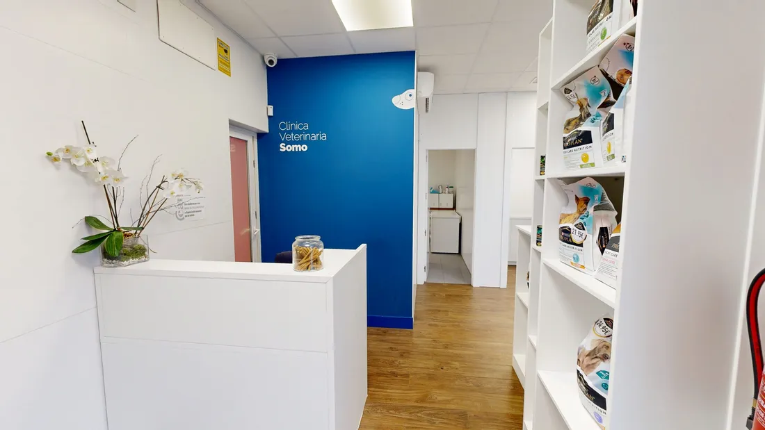 Reception and Waiting Room
