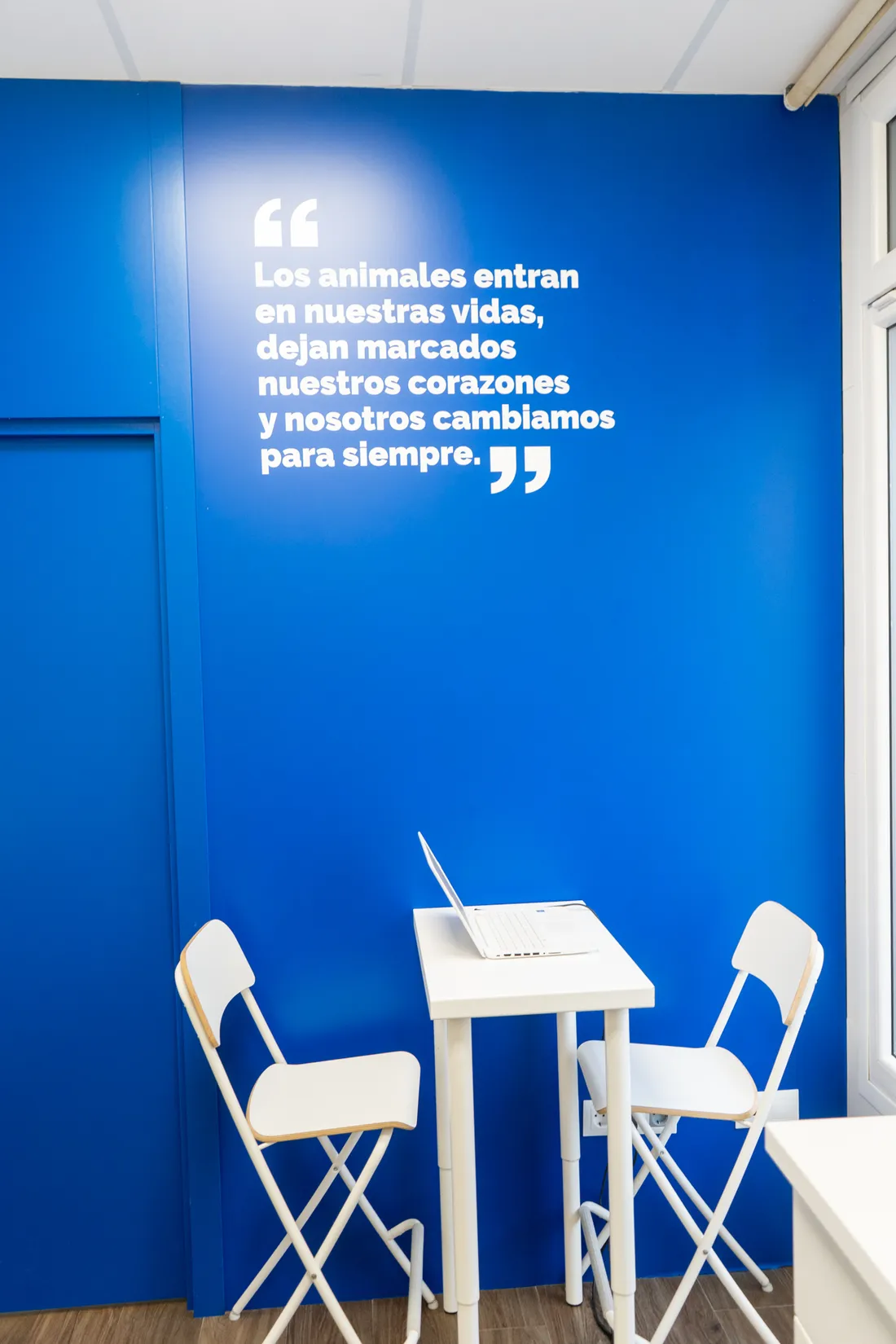Consultation Rooms