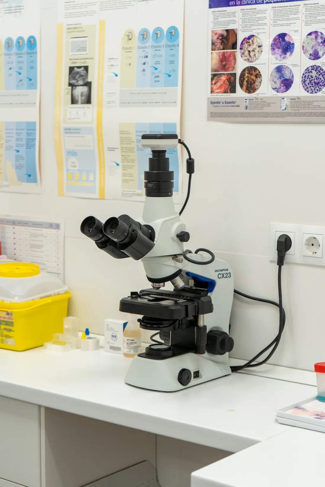 Laboratory