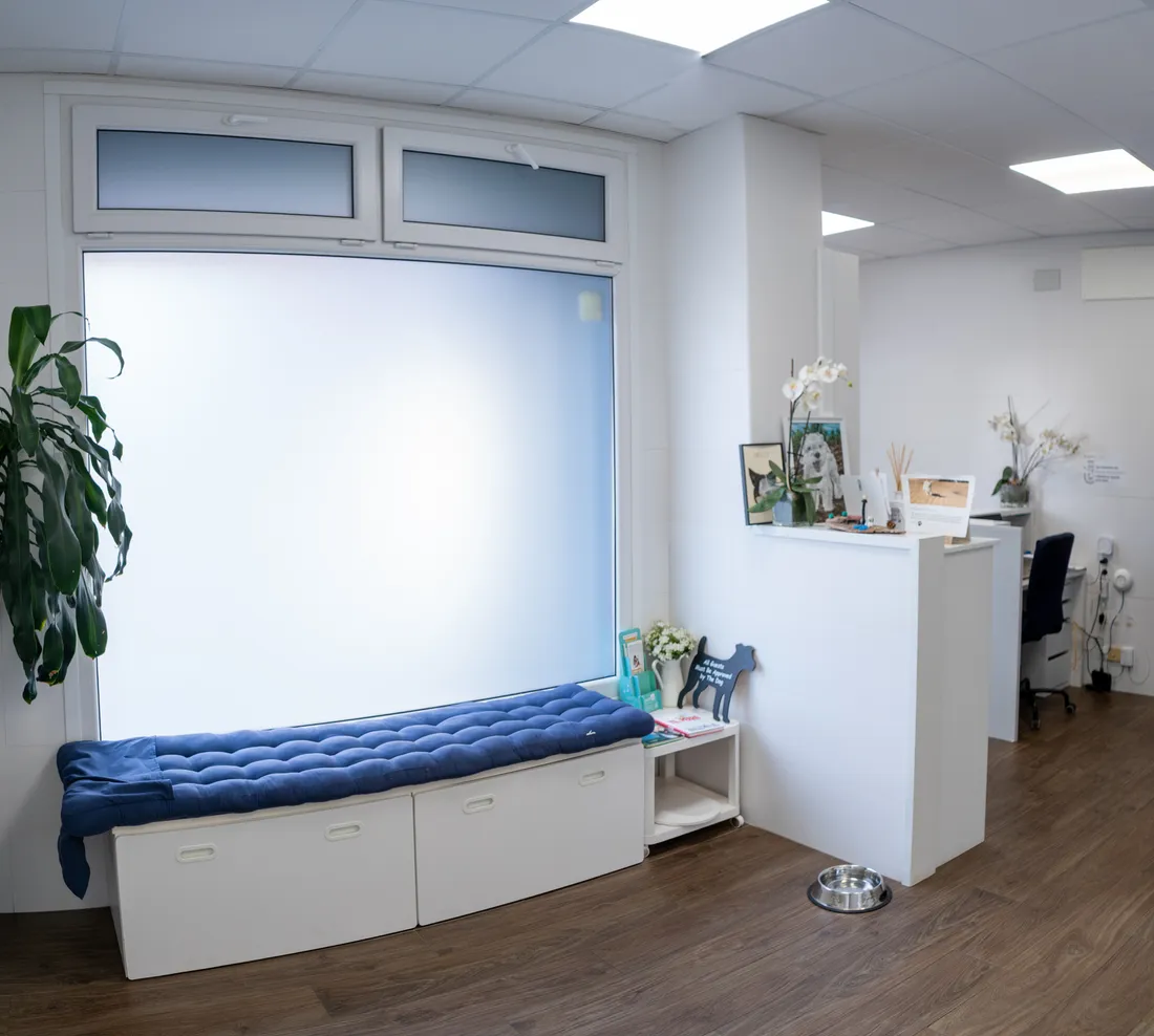 Reception and Waiting Room