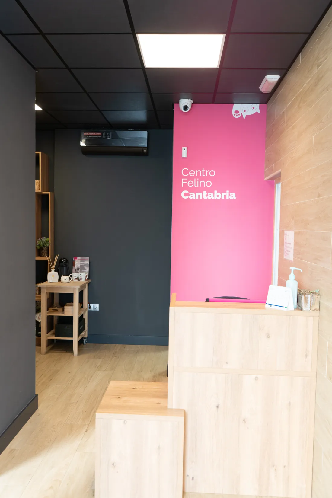 Reception and Waiting Room