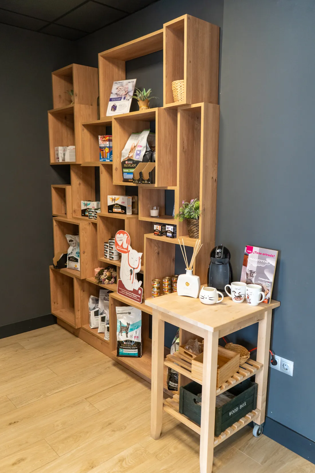 Reception and Waiting Room